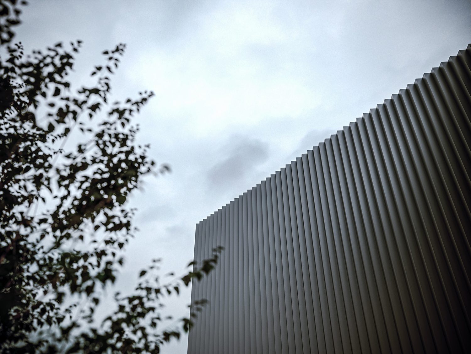 01 Pleat 100 Treehouse 3 D 2
