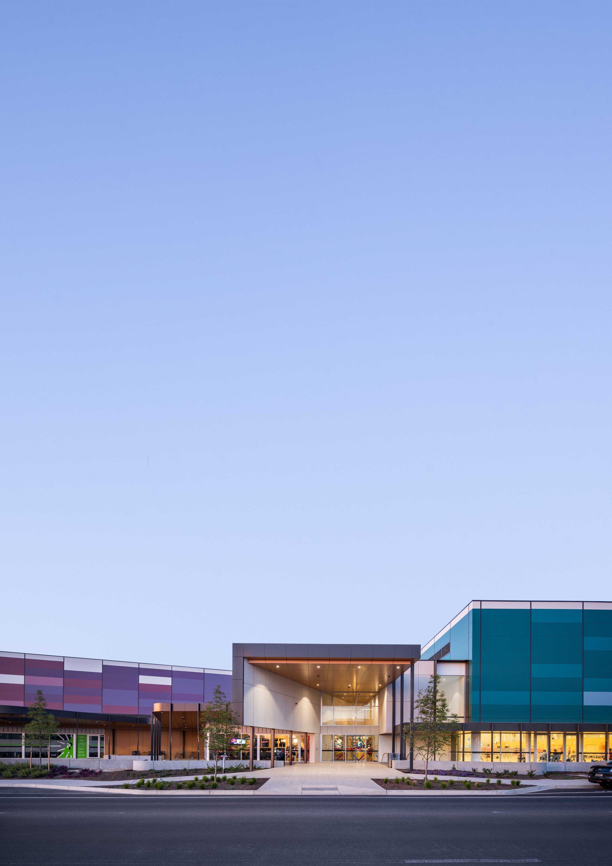 The Lights0071 portrait